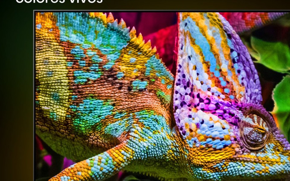 Detalles deslumbrantes en pantalla